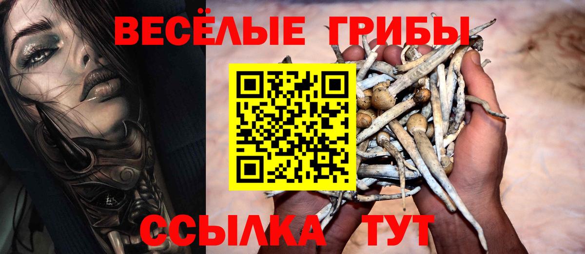 Галлюциногенные грибы прущие грибы  Галлюциногенные грибы Psilocybine cubensis  Грязи  Вход с VPN 
